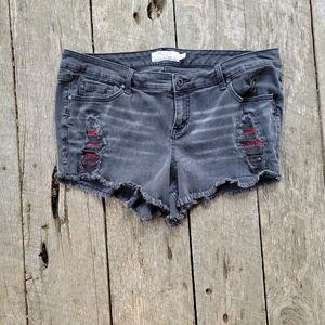 Torrid Shorts